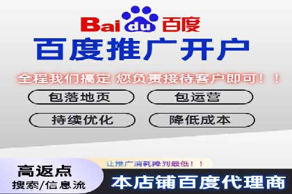 某企业SEM广告投放的ROI提升策略及效果展示
